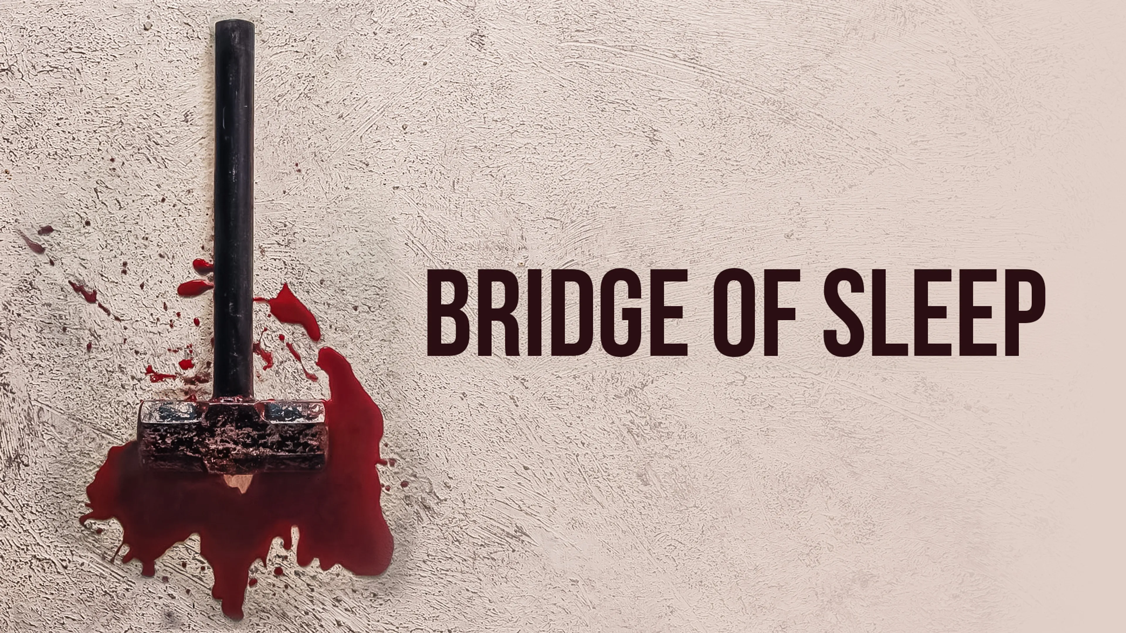 Bridge of Sleep poster